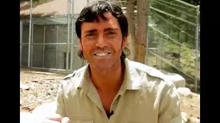 OUTBACKZACK Screener version1