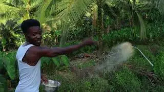How I Cut Down Pig Feed Costs + Tilapia Feeding & Catch & Release Fun!