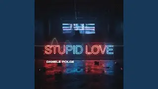 Stupid Love