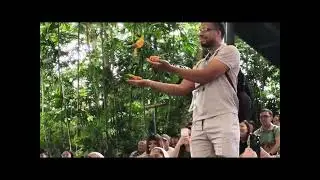 Birdshow @cebusafariph #cebu #cebusafari #carmencebu #birdshow 