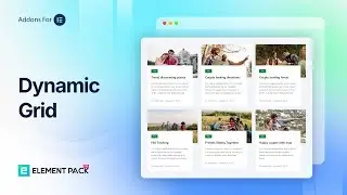 Master the Dynamic Grid Widget in Element Pack Pro | Complete Setup & Customisation