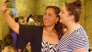WILD LIFE Hamilton Island | Breakfast with Koalas | Experience Oz