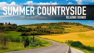 🐖🐏🐂 Summer Countryside - Soothing Sounds relaxation meditation calm quite - nature sleep birds