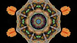 Brandenburg Birds - An AI Edited Kaleidoscopic Animation - a2photographic.com July 2024