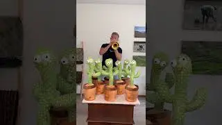 amazon's Dancing Cactus Toys