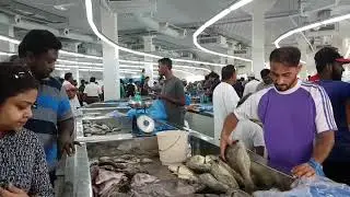 LARGEST Fish Market In Oman
