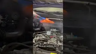Hoseless Engine Bay Detailing! #car #automobile #cleaning #howto #detailing