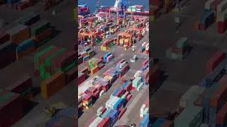 The Power of Transparency in Logistics | B-LOADED #shorts #shortvideo