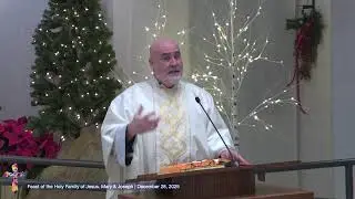 Fr Joe homily: Family FUNction | December 28, 2025