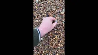 Glass Pebble beachcomb compilation 2025