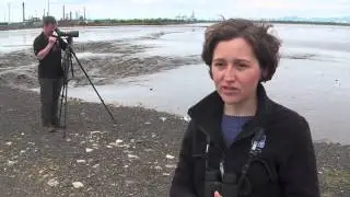 Planning system helping Scotland's wildlife