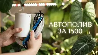 Автополив за 1500р спас мои тотемы от пересушки!