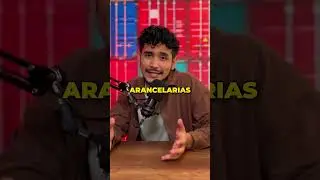⬆️Analizando las importaciones de DOLLARCITY.  #importadores #emprendedores #importacionesdechina