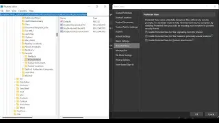 Where is the Protected View Registry Key for Microsoft Office?