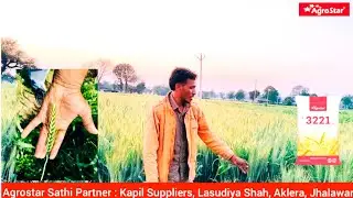 एग्रोस्टार की कहानी साथी पार्टनर की जुबानी | 3221 गेहूं | Agrostar | 2025