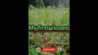 my first vlogs❤️#monj dev vlogs#short