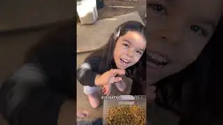 Enseñando responsabilidad a mis hijos a través de los animales