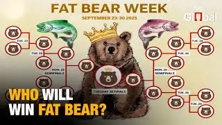 FAT BEAR WEEK 2025: Who Will Claim the Crown This Year?