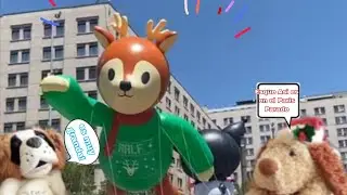 run run y roy en el París parade😮