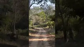 Ramnagar Jim Corbett National park