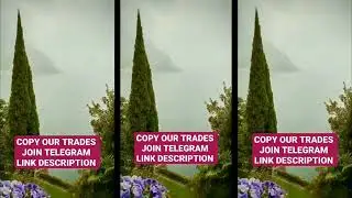 Premium Forex Signals Telegram । Mercurytechnicalss.com