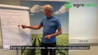 Whiteboard Wednesday #15 &ndash; How do plants take up the nutrients in the soil?