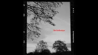 Serinchamps