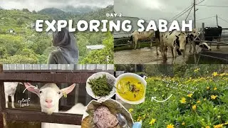 Year-End Escape✈️ : Last-Minute Trip to Sabah | Part 2