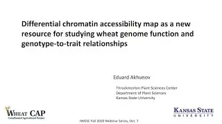 Webinar: Differential chromatin accessibility map, a new resource for studying wheat genome function