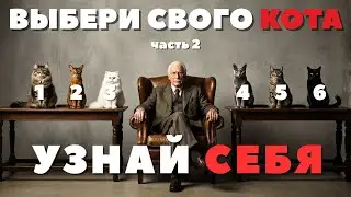 КОШКА которую ТЫ ВЫБЕРЕШЬ, расскажет о тебе ВСЕ! Простой интуитивный ТЕСТ (ЧАСТЬ 2)