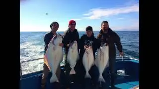 Alaska Halibut Fishing - Homer Spit - HUGE