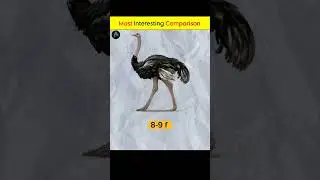 most interesting comparison | Aj facts | #trending #viral