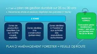 For&ecirc;ts: r&eacute;alit&eacute;s africaines - EPISODE 7 : grumes, produits en bois, charbon, p&acirc;te &agrave; papier et papier