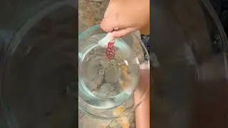 Doms Floating marker😱 #shorts#doms #kids #fun#viral#shortvideo#shortsfeed #trendingshorts