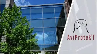AviProtek&reg; T a transparent bird friendly glass solution