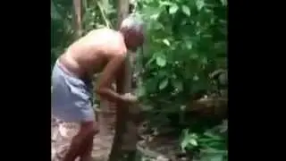 100 year old man fastest to climb a tree breathtaking skills
