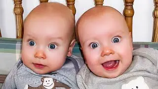 Funny Baby Videos That Will Make You Cry Laughing
