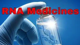 The Medicines of the Future Will Be Made of RNA