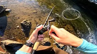 This Ohio Spillway was Filled with TROPHY Muskie!! (New PB)