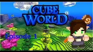 Cube World : &eacute;pisode 1