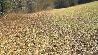 Homes for Sale - Robinson Drive Tract 6 Loudon TN 37774 - Andrew Pacillo