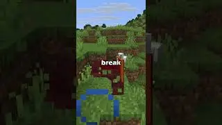 Я вырвался из Minecraft