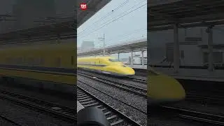 💛ドクターイエローT5編成💛2024年10月3日大雨が降る中、岐阜羽島駅でドクターイエローの撮影しました。#ドクターイエロー #東海道新幹線 #shorts