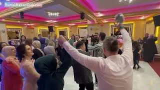 Rumeli Halil Eser Yaren & Oğuzhan Za Pusti Pari Prokleti Canlı Performans Düğün