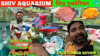 Shiv Aquarium Kurla Fish Market l Huge Stock Of Monster Fish And Exotic Fish l Best Variety🐟