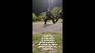 Laojia yilu fajin xunlian