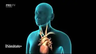 Ce facem când bătăile de inimă sunt neregulate?