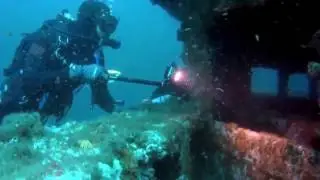 Genuine PADI | Live Aboard Trips | Boat Dive Trips Sydney