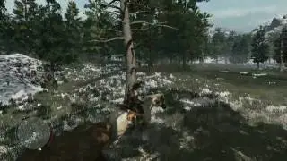 Red Dead Bare Necessities