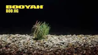 Booyah Boo Jig Underwater Action